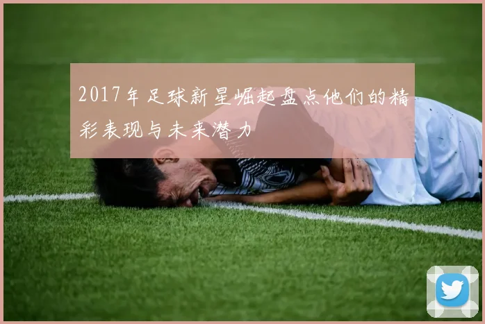 2017年足球新星崛起盘点他们的精彩表现与未来潜力