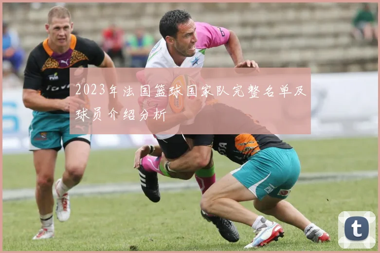 2023年法国篮球国家队完整名单及球员介绍分析