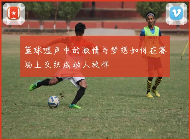 篮球嘘声中的激情与梦想如何在赛场上交织成动人旋律