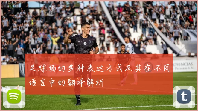 足球场的多种表达方式及其在不同语言中的翻译解析